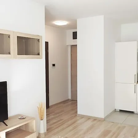 Boutique Cordia With Free Parking Apartment *